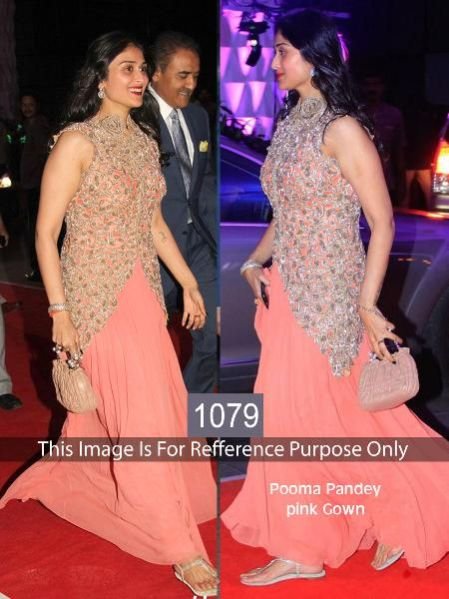 Georgette Anarkali Suits (1079)