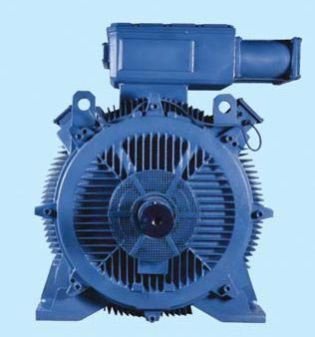 Bharat Electric Motor 01