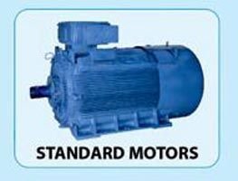 Bharat Electric Motor 02