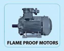Bharat Electric Motor 03