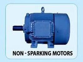 Bharat Electric Motor 04