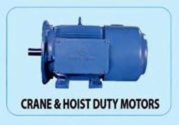 Bharat Electric Motor 05