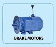 Bharat Electric Motor 09