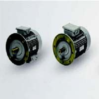 Champion Series Motor Type 1LA0