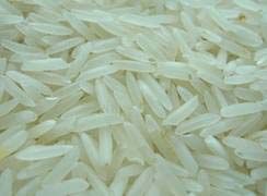 PR 11 Raw Rice