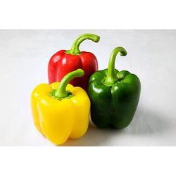 Fresh Capsicum 03