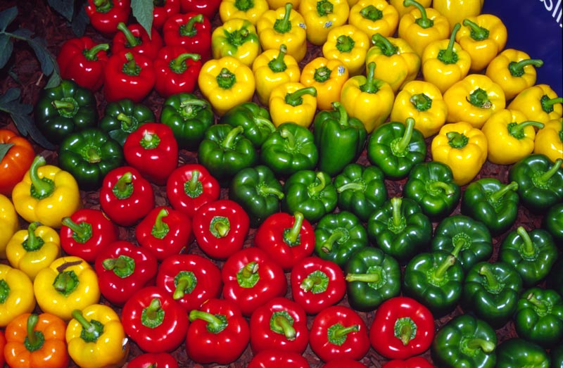 Fresh Capsicum 04