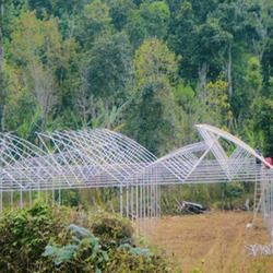 Polyhouse Construction Service 05