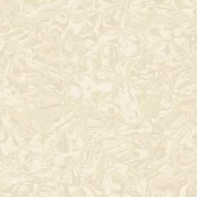 Soluble Salt & Nano Palio  Porcelin Floor Virtified Tiles (600x600)