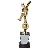 Sports Trophy 48