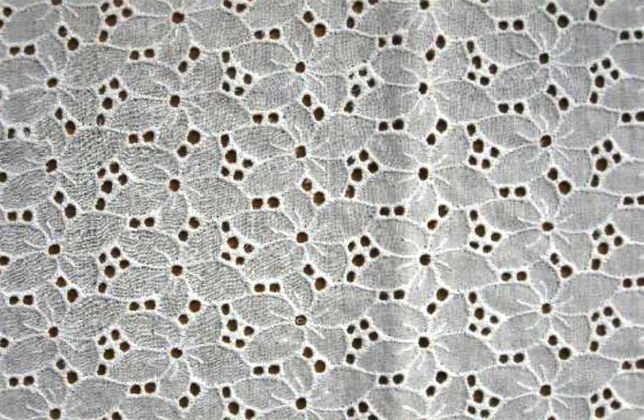 Schiffli Embroidered Fabric 01