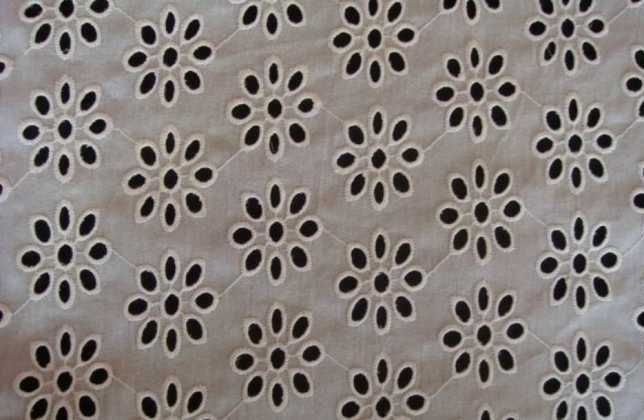Schiffli Embroidered Fabric 03