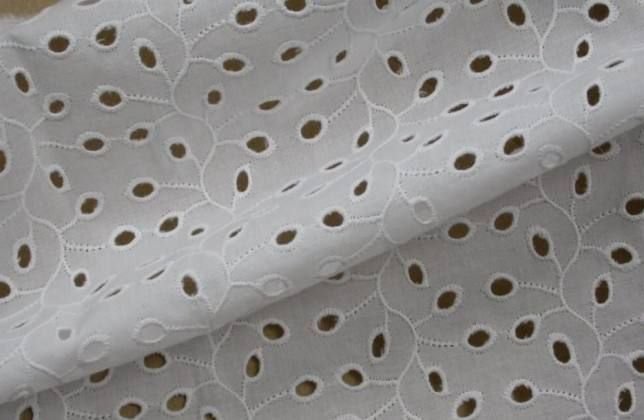 Schiffli Embroidered Fabric 05