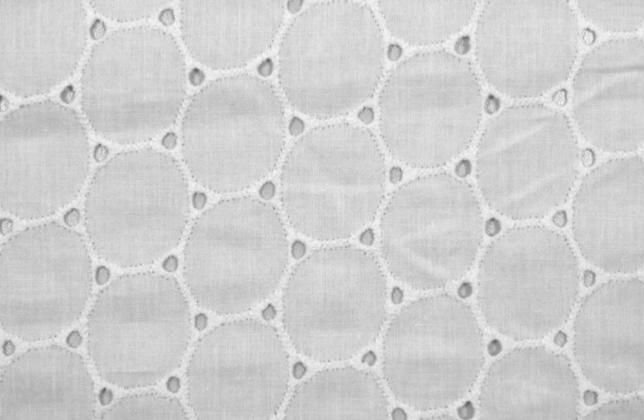 Schiffli Embroidered Fabric 06