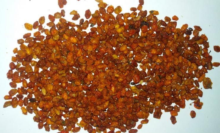 Sea Buckthorn Berries 01