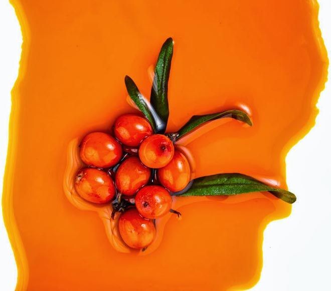 Sea Buckthorn Pulp 04