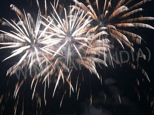 Aerial Shell Black Nigh