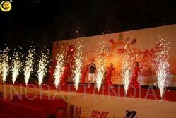 Cold Fire Gerbs (Anar) 10 Inches