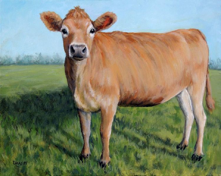 Jersey Cow 01