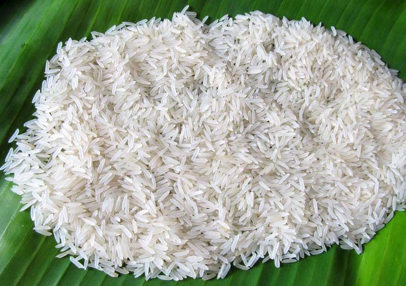Pusa 1121 Basmati Rice 02