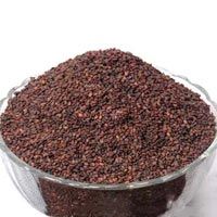 Brown Sesame Seeds Greeding