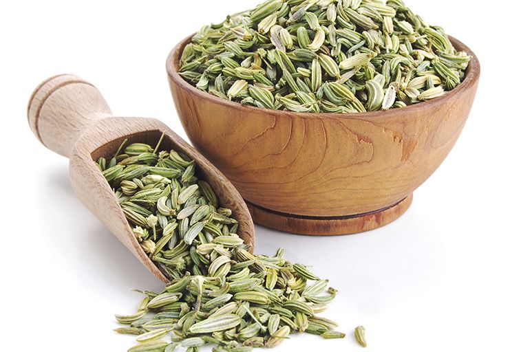 Fennel Seeds Greeding