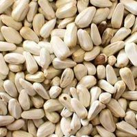 Safflower Seeds Greeding