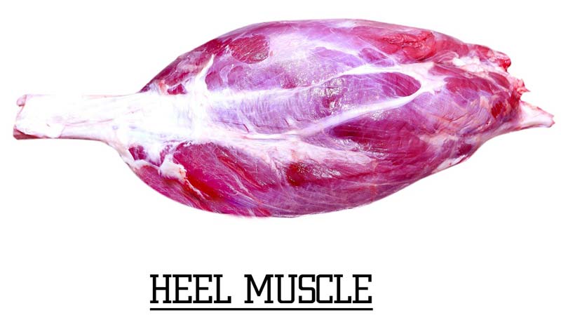 Frozen Heel Muscle Buffalo Meat
