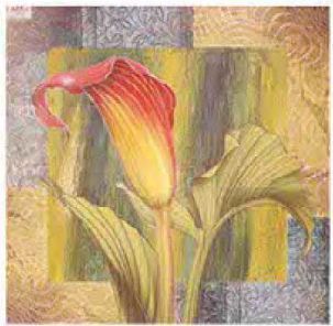 SB F-211 600-600mm Glossy Tiles