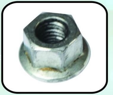 Blade Nuts (224)