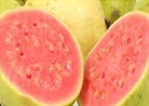 Guava Flavor
