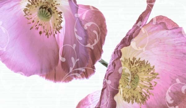 Item Code : Aloha Blanco HL