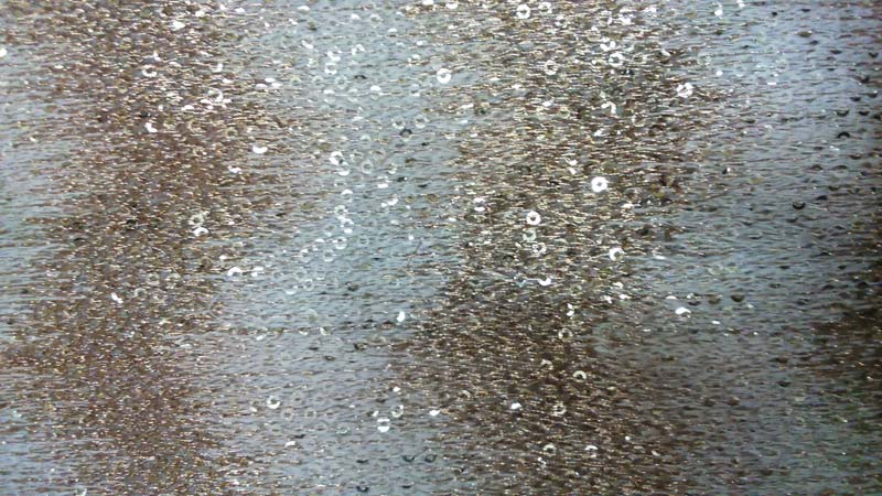 Item Code : DSC-0484