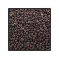 Black Mustard Seeds