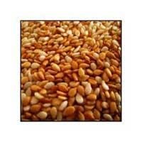 Toasted Sesame Seeds