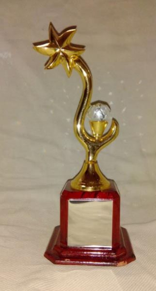 Award Trophy 04