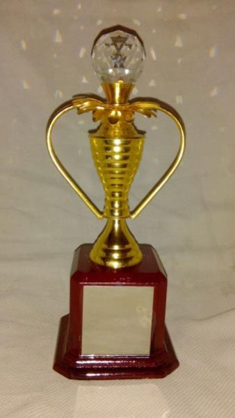 Award Trophy 05