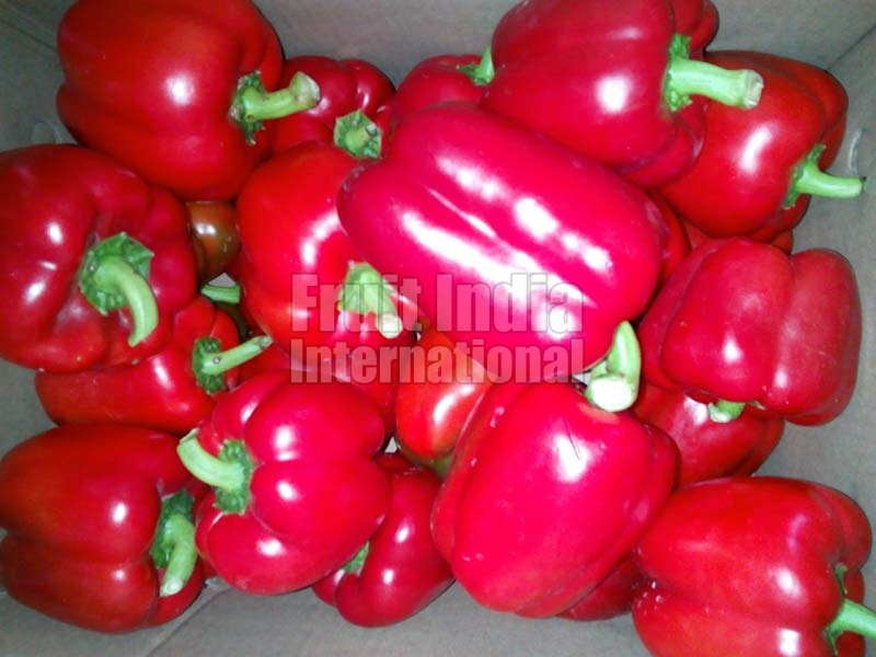 Fresh Red Capsicum