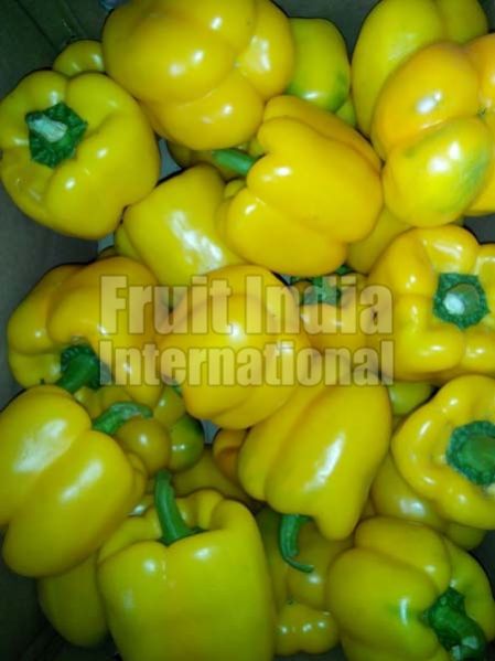 Fresh Yellow Capsicum