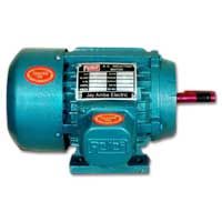 Electric Motor (Three Phase)