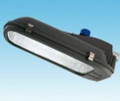 Induction Street Lights 01