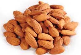 Almond Kernel 01