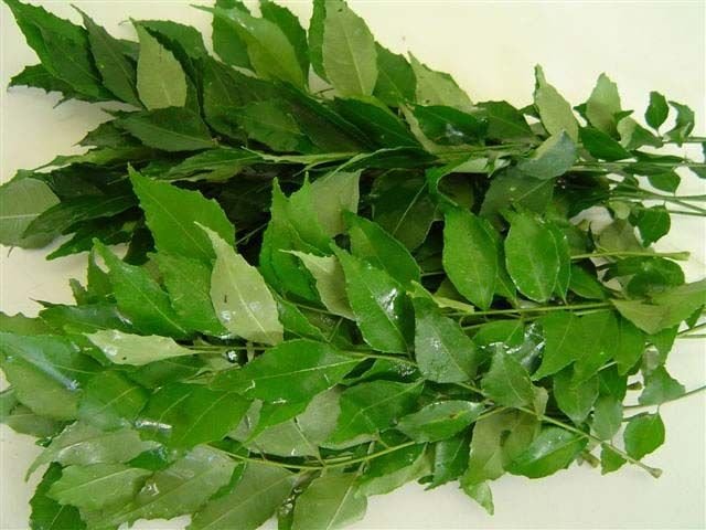 Image 03
