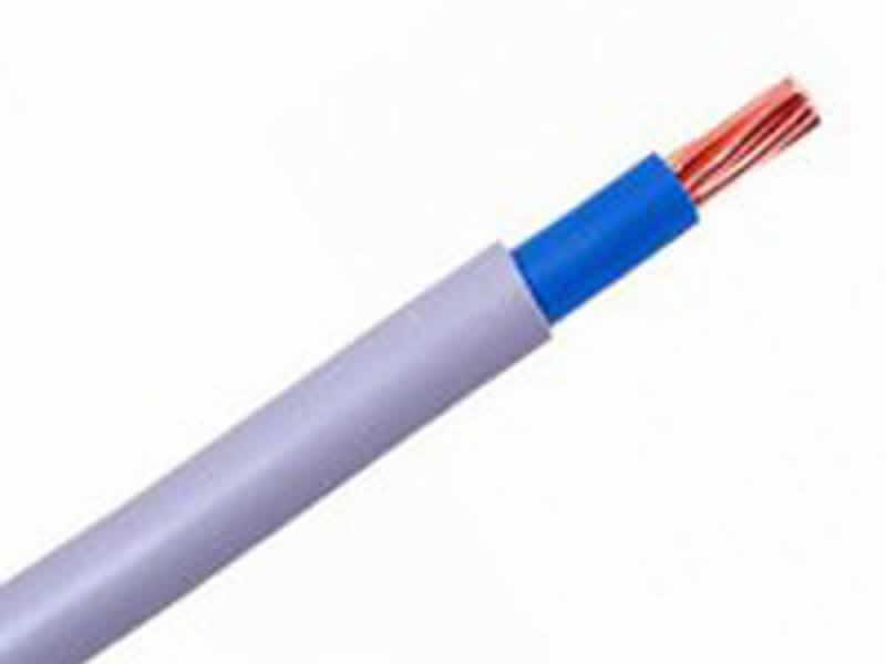 6181Y Single Core copper conductor,PVC Insulated PVC Sheathed Electric Wiring Cables(300/500V)