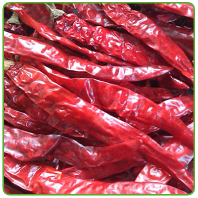 273 Wrinkle Dried Red Chilli With Stem