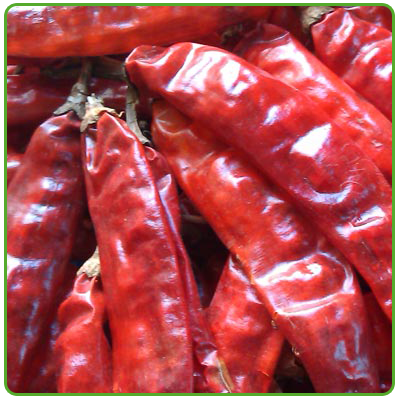 334 (S4) Sannam Dried Red Chilli With Stem
