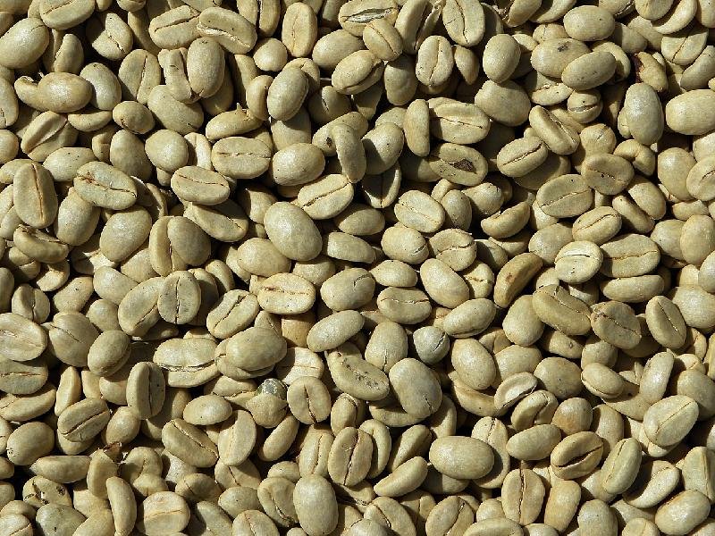 Green Coffee Beans