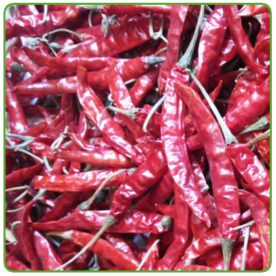 Teja Dried Chilli Red Chilli With Stem