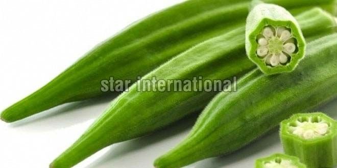 Frozen Vegetables 02