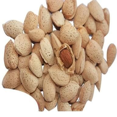 Almonds 02
